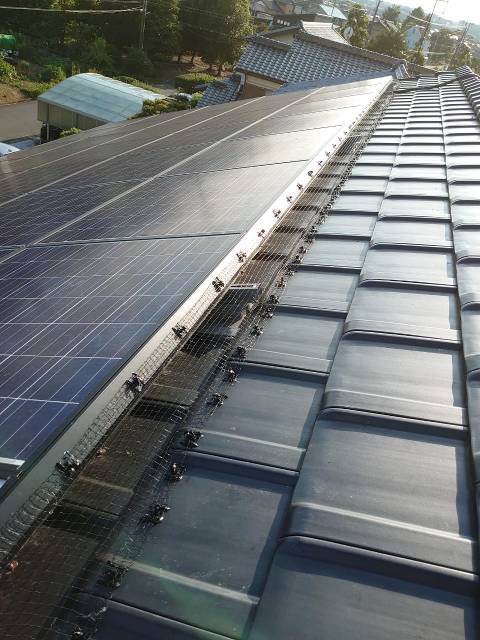 Https Www Hatoyoke Jp Column E6 B5 9c E5 8c 97 E5 8c Bao E6 A7 98 E3